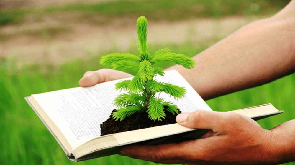 Direito Ambiental