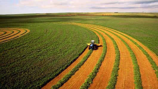 Introduo ao Agronegcio